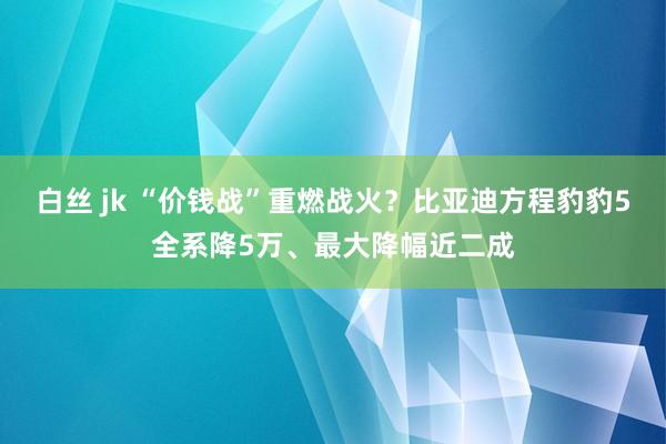 白丝 jk “价钱战”重燃战火？比亚迪方程豹豹5全系降5万、最大降幅近二成