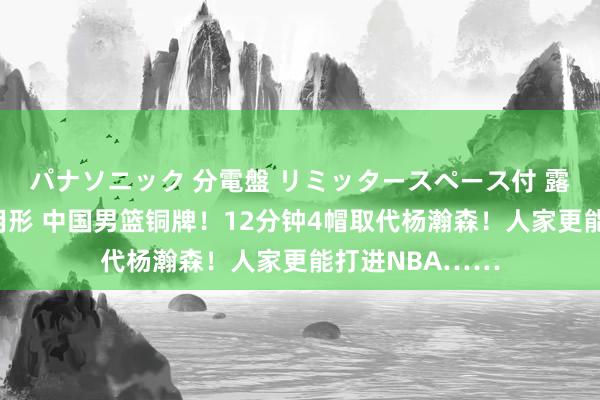 パナソニック 分電盤 リミッタースペース付 露出・半埋込両用形 中国男篮铜牌！12分钟4帽取代杨瀚森！人家更能打进NBA……