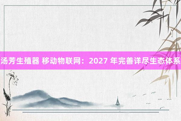 汤芳生殖器 移动物联网：2027 年完善详尽生态体系