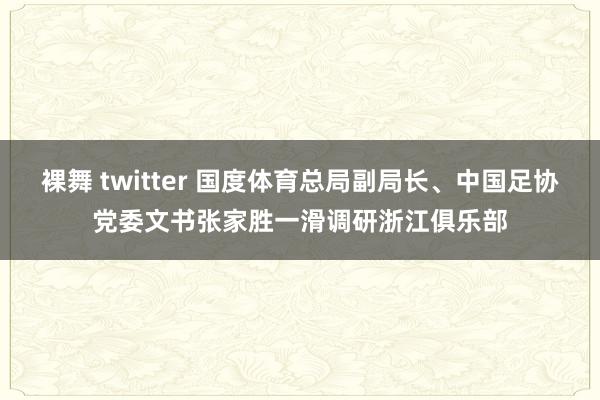 裸舞 twitter 国度体育总局副局长、中国足协党委文书张家胜一滑调研浙江俱乐部