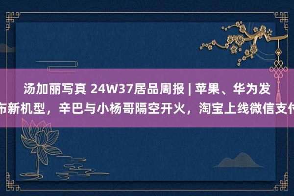 汤加丽写真 24W37居品周报 | 苹果、华为发布新机型，辛巴与小杨哥隔空开火，淘宝上线微信支付