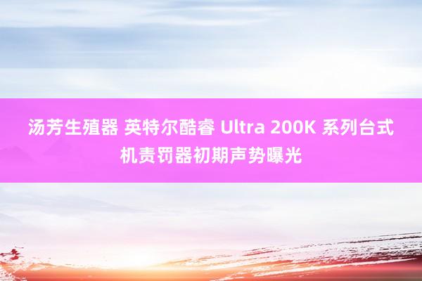 汤芳生殖器 英特尔酷睿 Ultra 200K 系列台式机责罚器初期声势曝光