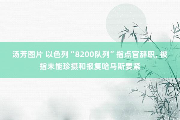 汤芳图片 以色列“8200队列”指点官辞职， 被指未能珍摄和报复哈马斯要紧