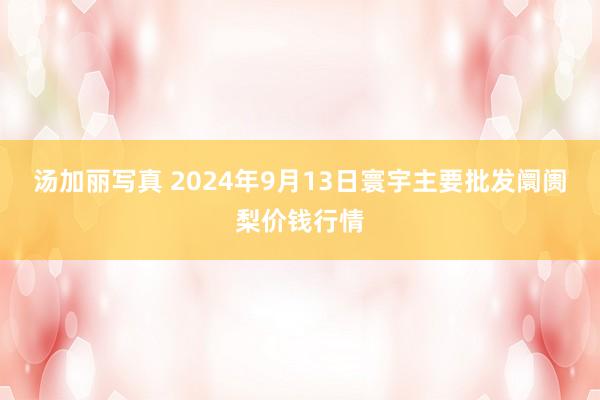 汤加丽写真 2024年9月13日寰宇主要批发阛阓梨价钱行情