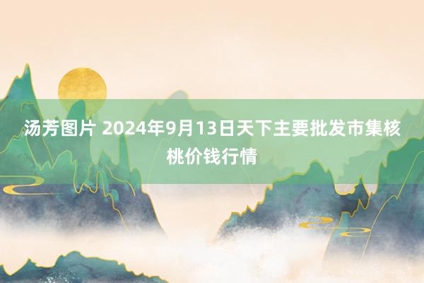 汤芳图片 2024年9月13日天下主要批发市集核桃价钱行情