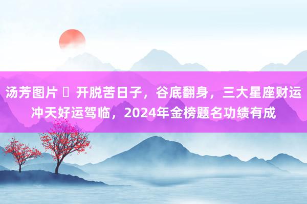 汤芳图片 ​开脱苦日子，谷底翻身，三大星座财运冲天好运驾临，2024年金榜题名功绩有成