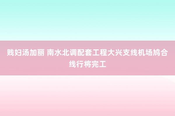 贱妇汤加丽 南水北调配套工程大兴支线机场鸠合线行将完工