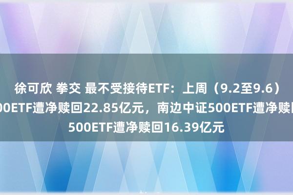 徐可欣 拳交 最不受接待ETF：上周（9.2至9.6）南边中证1000ETF遭净赎回22.85亿元，南边中证500ETF遭净赎回16.39亿元