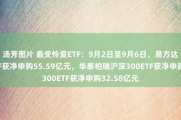 汤芳图片 最受怜爱ETF：9月2日至9月6日，易方达沪深300ETF获净申购55.59亿元，华泰柏瑞沪深300ETF获净申购32.58亿元