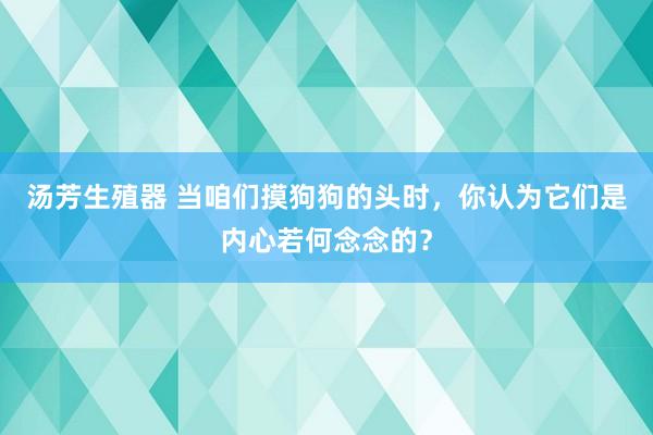 汤芳生殖器 当咱们摸狗狗的头时，你认为它们是内心若何念念的？