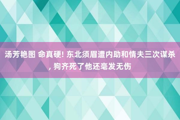 汤芳艳图 命真硬! 东北须眉遭内助和情夫三次谋杀， 狗齐死了他还毫发无伤