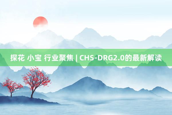 探花 小宝 行业聚焦 | CHS-DRG2.0的最新解读