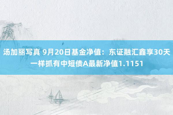 汤加丽写真 9月20日基金净值：东证融汇鑫享30天一样抓有中短债A最新净值1.1151