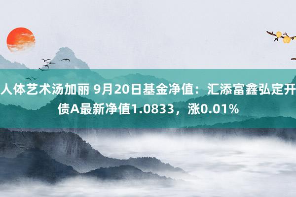 人体艺术汤加丽 9月20日基金净值：汇添富鑫弘定开债A最新净值1.0833，涨0.01%