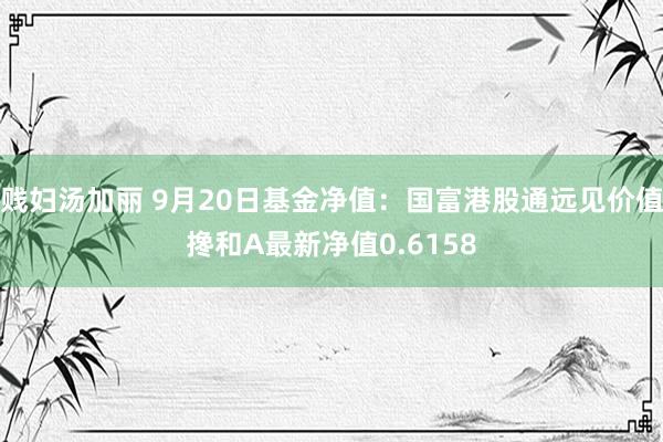 贱妇汤加丽 9月20日基金净值：国富港股通远见价值搀和A最新净值0.6158