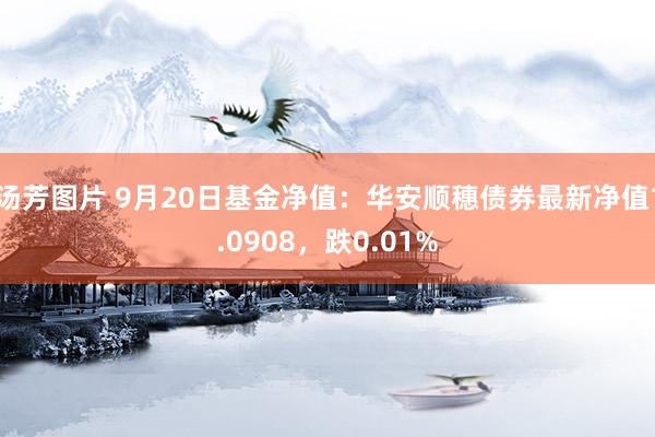 汤芳图片 9月20日基金净值：华安顺穗债券最新净值1.0908，跌0.01%