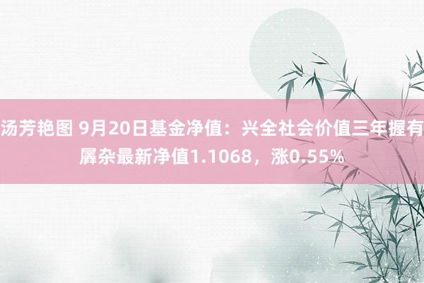 汤芳艳图 9月20日基金净值：兴全社会价值三年握有羼杂最新净值1.1068，涨0.55%