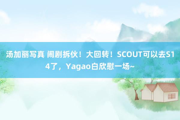 汤加丽写真 闹剧拆伙！大回转！SCOUT可以去S14了，Yagao白欣慰一场~