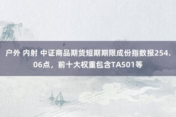 户外 内射 中证商品期货短期期限成份指数报254.06点，前十大权重包含TA501等