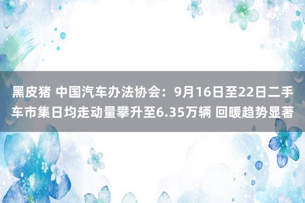 黑皮猪 中国汽车办法协会：9月16日至22日二手车市集日均走动量攀升至6.35万辆 回暖趋势显著