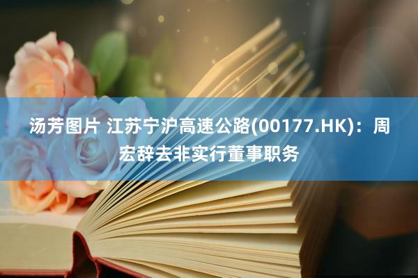 汤芳图片 江苏宁沪高速公路(00177.HK)：周宏辞去非实行董事职务