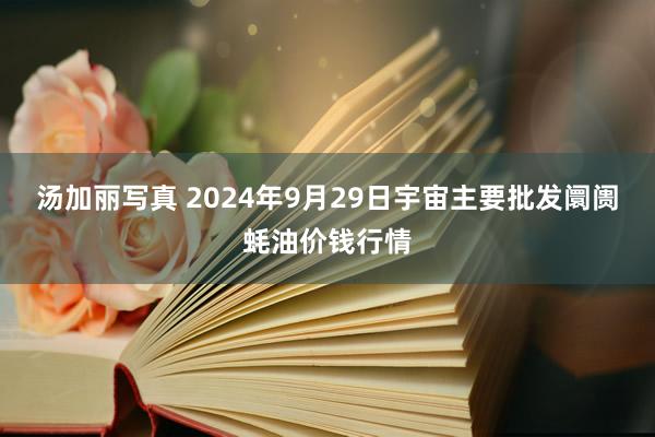 汤加丽写真 2024年9月29日宇宙主要批发阛阓蚝油价钱行情