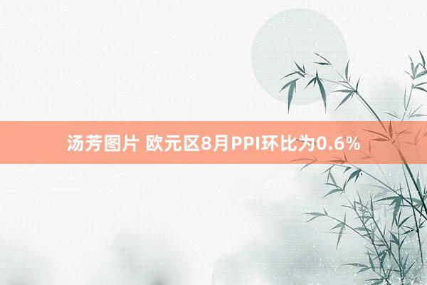 汤芳图片 欧元区8月PPI环比为0.6%