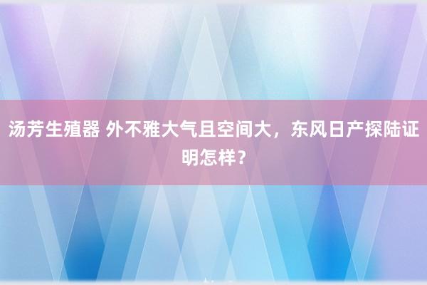 汤芳生殖器 外不雅大气且空间大，东风日产探陆证明怎样？