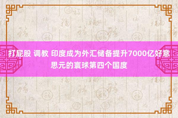 打屁股 调教 印度成为外汇储备提升7000亿好意思元的寰球第四个国度