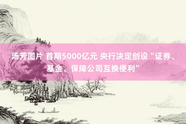 汤芳图片 首期5000亿元 央行决定创设“证券、基金、保障公司互换便利”