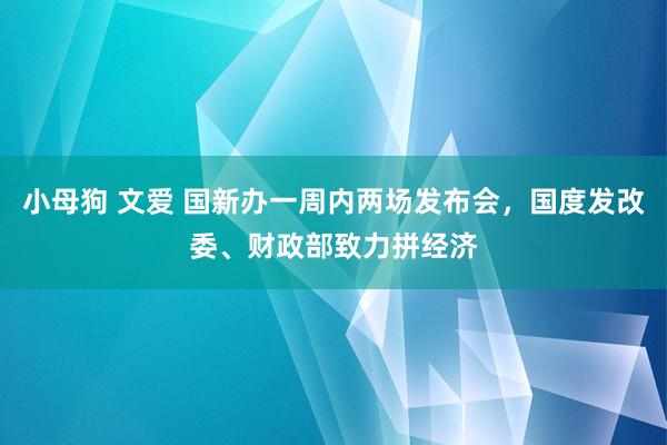 小母狗 文爱 国新办一周内两场发布会，国度发改委、财政部致力拼经济