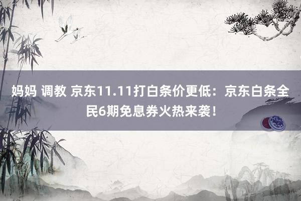 妈妈 调教 京东11.11打白条价更低：京东白条全民6期免息券火热来袭！