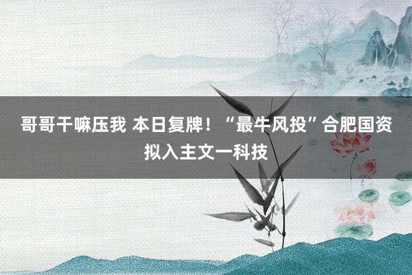 哥哥干嘛压我 本日复牌！“最牛风投”合肥国资拟入主文一科技