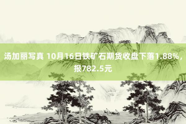 汤加丽写真 10月16日铁矿石期货收盘下落1.88%，报782.5元