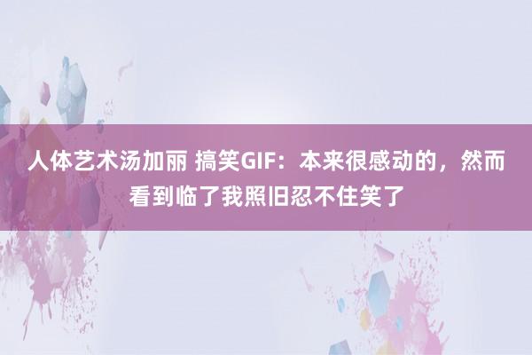 人体艺术汤加丽 搞笑GIF：本来很感动的，然而看到临了我照旧忍不住笑了