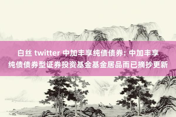 白丝 twitter 中加丰享纯债债券: 中加丰享纯债债券型证券投资基金基金居品而已摘抄更新