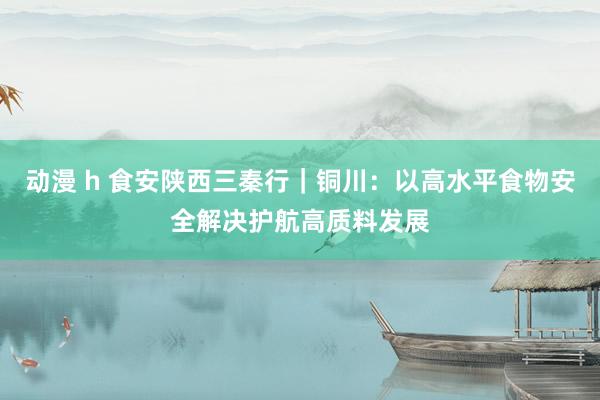 动漫 h 食安陕西三秦行｜铜川：以高水平食物安全解决护航高质料发展