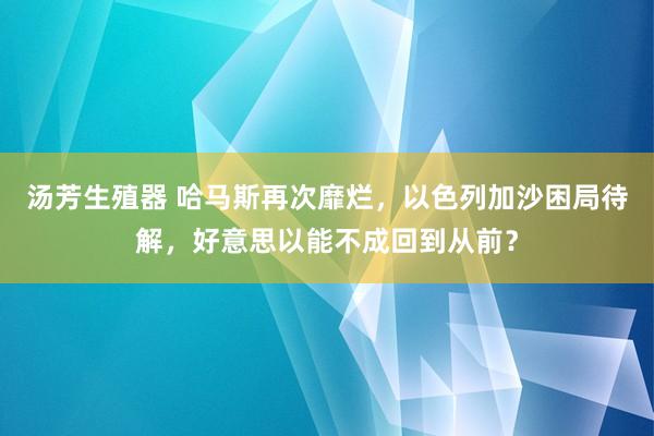 汤芳生殖器 哈马斯再次靡烂，以色列加沙困局待解，好意思以能不成回到从前？