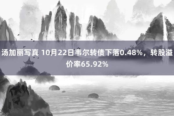 汤加丽写真 10月22日韦尔转债下落0.48%，转股溢价率65.92%