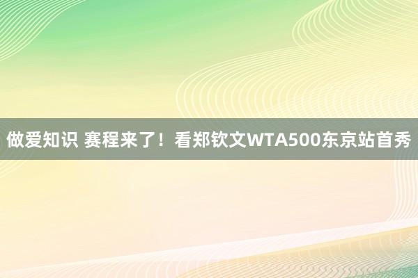 做爱知识 赛程来了！看郑钦文WTA500东京站首秀