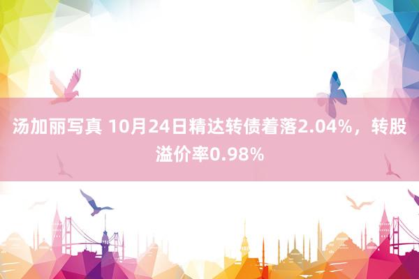 汤加丽写真 10月24日精达转债着落2.04%，转股溢价率0.98%