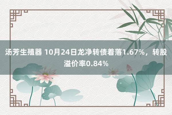 汤芳生殖器 10月24日龙净转债着落1.67%，转股溢价率0.84%