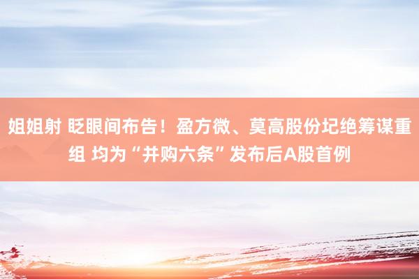 姐姐射 眨眼间布告！盈方微、莫高股份圮绝筹谋重组 均为“并购六条”发布后A股首例