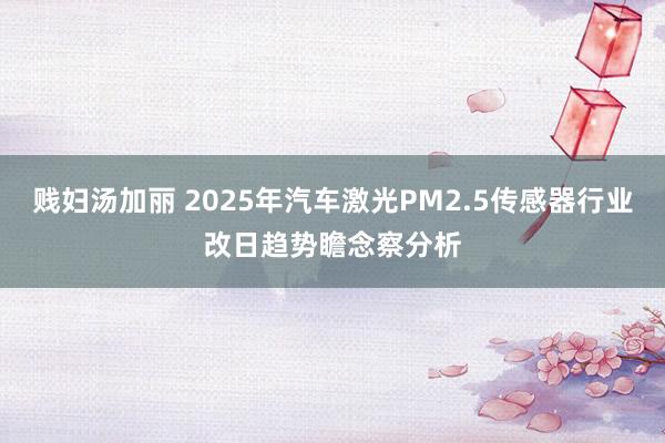 贱妇汤加丽 2025年汽车激光PM2.5传感器行业改日趋势瞻念察分析