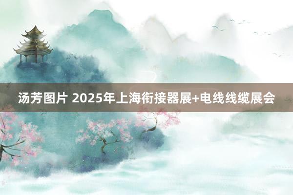 汤芳图片 2025年上海衔接器展+电线线缆展会