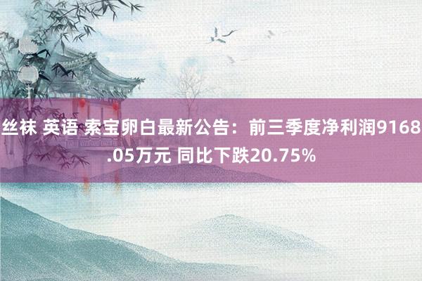 丝袜 英语 索宝卵白最新公告：前三季度净利润9168.05万元 同比下跌20.75%