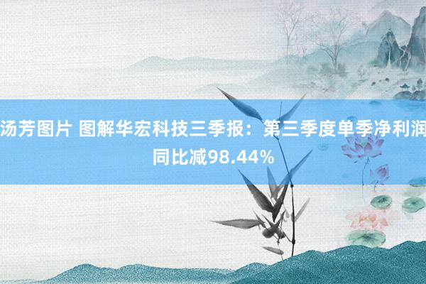 汤芳图片 图解华宏科技三季报：第三季度单季净利润同比减98.44%