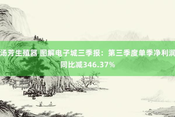 汤芳生殖器 图解电子城三季报：第三季度单季净利润同比减346.37%