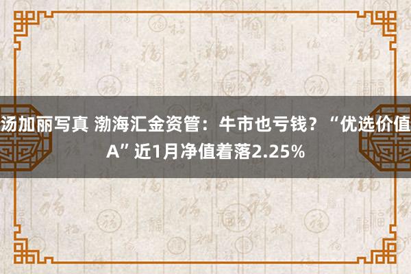 汤加丽写真 渤海汇金资管：牛市也亏钱？“优选价值A”近1月净值着落2.25%