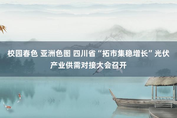 校园春色 亚洲色图 四川省“拓市集稳增长”光伏产业供需对接大会召开